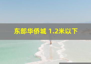 东部华侨城 1.2米以下